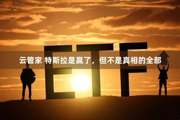 云管家 特斯拉是赢了，但不是真相的全部