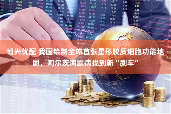博兴优配 我国绘制全球首张星形胶质细胞功能地图，阿尔茨海默病找到新“刹车”